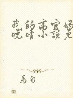 我的高官妈妈苏晚晴小说免费阅读封面