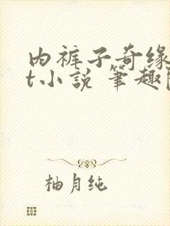 内裤子奇缘txt小说 笔趣阁