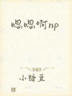 嗯嗯啊np