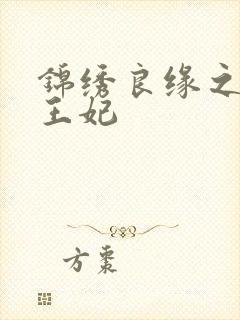 锦绣良缘之北地王妃