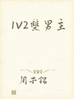 1V2双男主