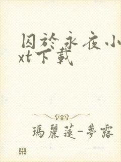 囚于永夜小说txt下载