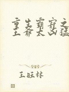 重生霸宠之摄政王爷太凶猛