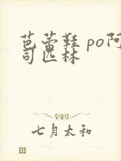 芭蕾鞋 po阿司匹林