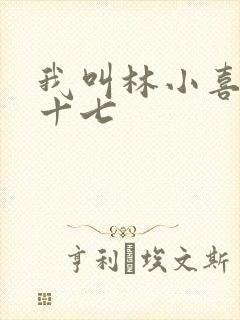 我叫林小喜今年十七