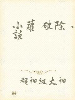 小萝 破除 小说