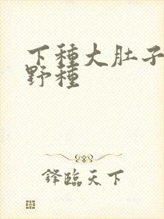 下种大肚子怀孕野种
