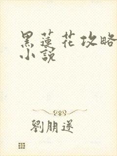 黑莲花攻略手册小说封面