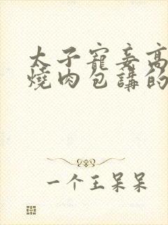 太子宠妾高肉红烧肉包讲的什么