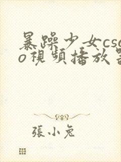 暴躁少女csgo视频播放器推荐