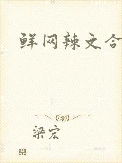 鲜网辣文合集封面