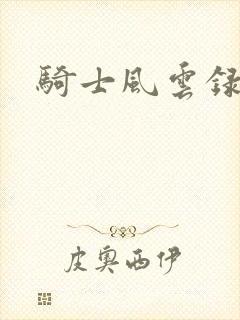 骑士风云录封面