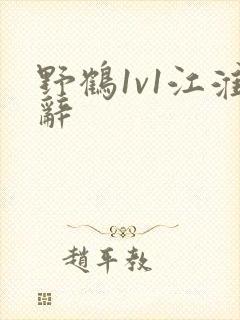 野鹤1v1江淮辞封面