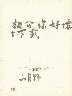 相公你好坏txt下载