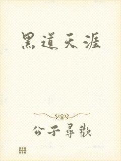 黑道天涯封面