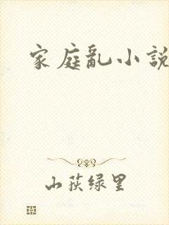 家庭乱小说