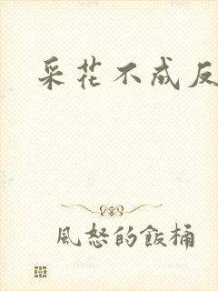 采花不成反被采