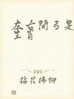 左右开弓是什么生肖