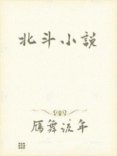 北斗小说