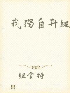 我独自升级2封面