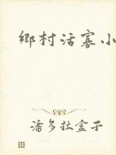 乡村活寡小说封面