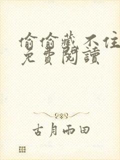 偷偷藏不住小说免费阅读