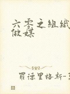 六零之组织给我做媒封面