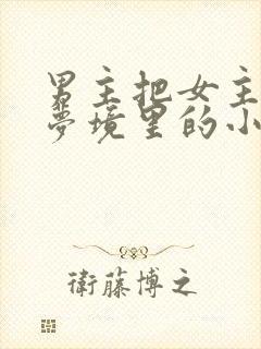 男主把女主拖进梦境里的小说