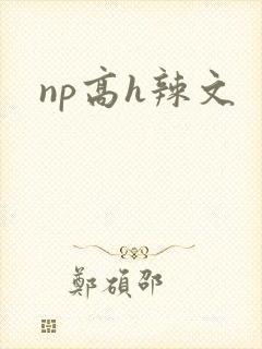 np高h辣文