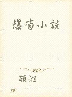 爆菊小说