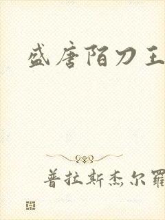 盛唐陌刀王封面