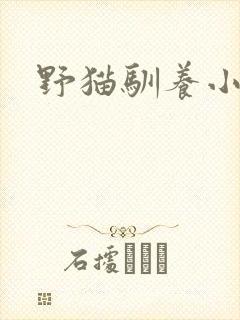 野猫驯养小说封面