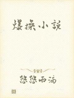 爆操小说