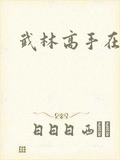 武林高手在异界