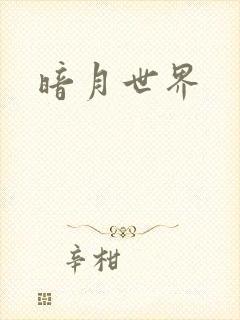 暗月世界
