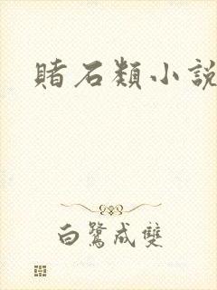 赌石类小说