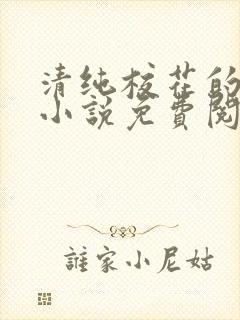 清纯校花的秘密小说免费阅读