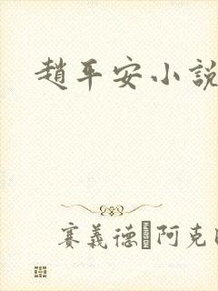 赵平安小说主角