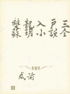 双龙入户三人行苏玥小说全文阅读