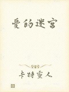 爱的迷宫