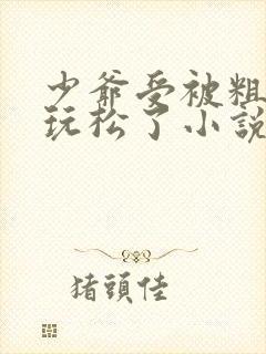 少爷受被粗汉H玩松了小说