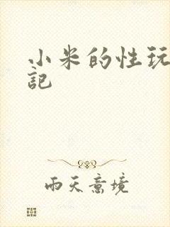小米的性玩具日记