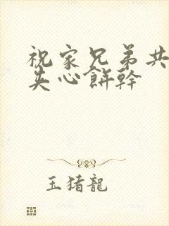 祝家兄弟共享后夹心饼干