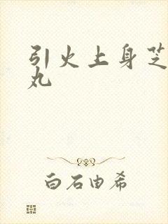 引火上身芝麻糖丸