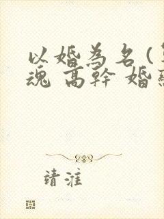 以婚为名 (军魂 高干 婚恋)
