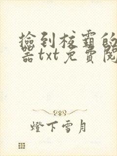 捡到校霸的遥控器txt免费阅读封面