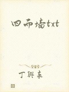 四面墙txt