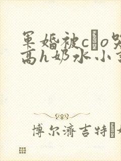 军婚被cαo哭高h奶水小说封面