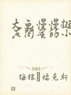 大龟慢慢挺进女友闺蜜的小说封面