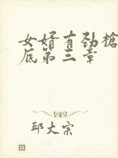 女婿有劲枪枪到底第三章